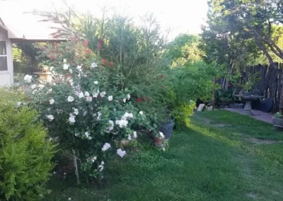 Great Landscape Services