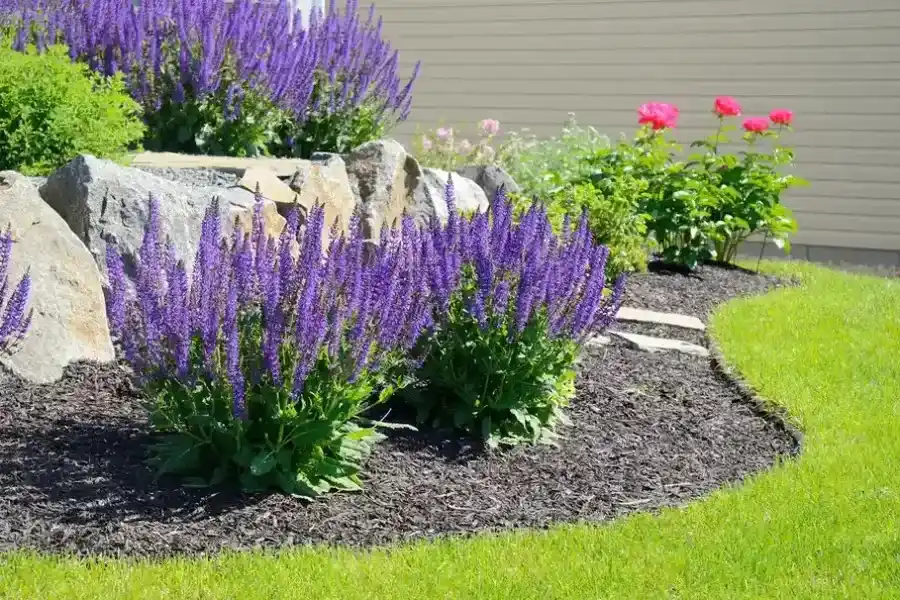 How Flower Bed Edging Improves Drainage In Gardens Wimberley, TX How Flower Bed Edging Improves Drainage In Gardens Wimberley, TX