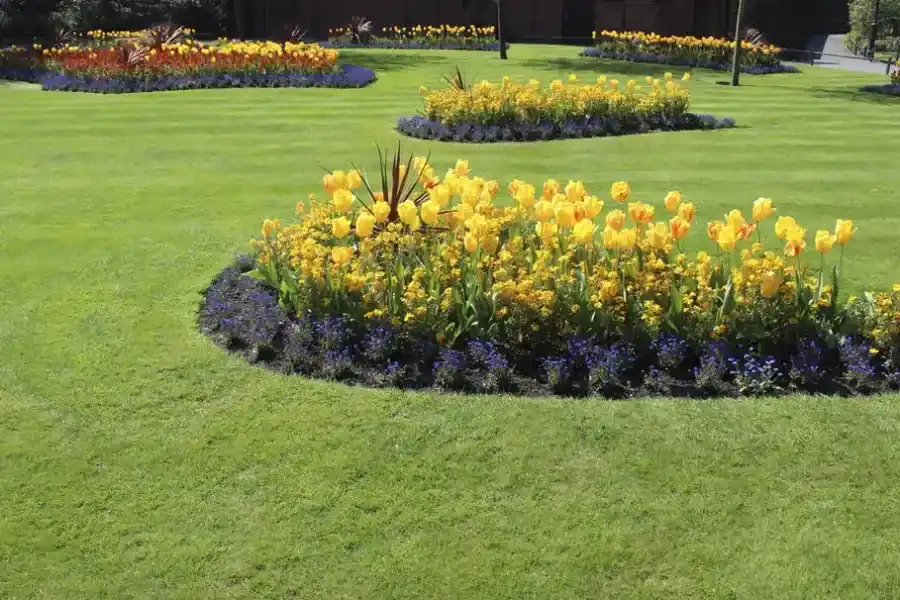 Local Flower Bed Edging Wimberley, TX Local Flower Bed Edging Wimberley, TX